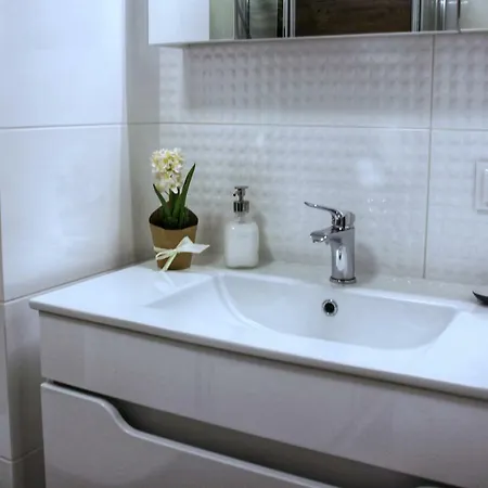 Polanka Apartment Posen